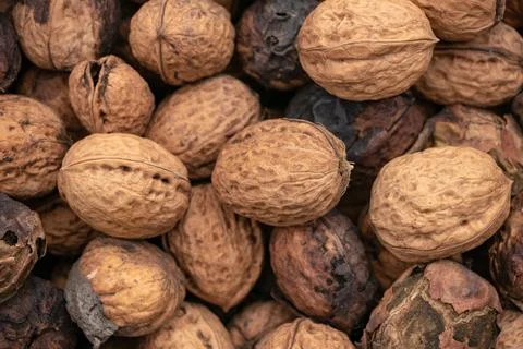 Natural walnut background pattern texture. Natural food in-shell nuts walnuts Stock Photos