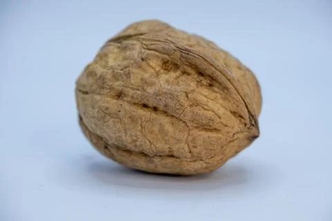 Natural walnut Foto stock