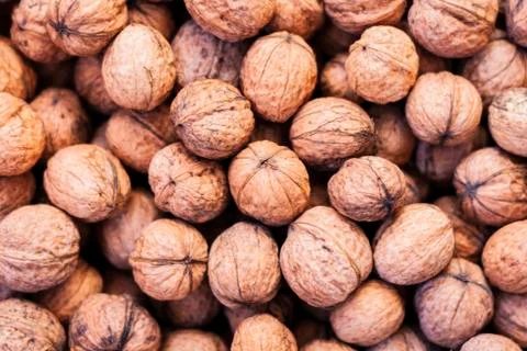 Natural walnut in shell background pattern texture 写真素材