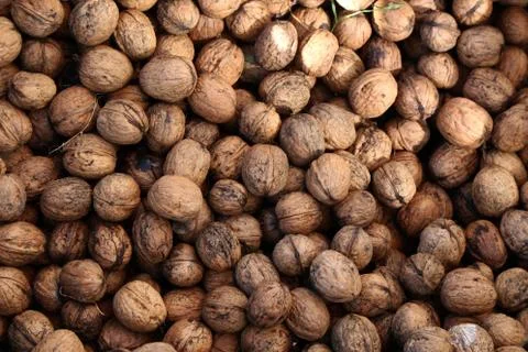 Natural walnut in shell background pattern texture Stock Photos