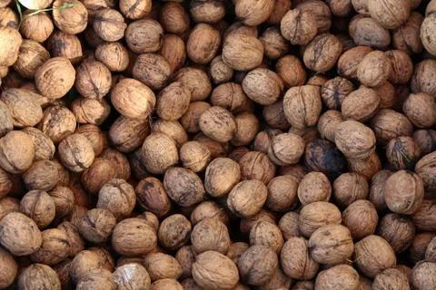 Natural walnut in shell background pattern texture Stock Photos