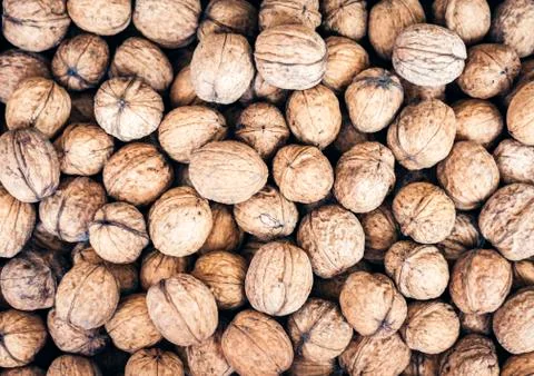 Natural walnut in shell background pattern texture. Foto stock
