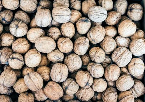 Natural walnut in shell background pattern texture. Stock Photos