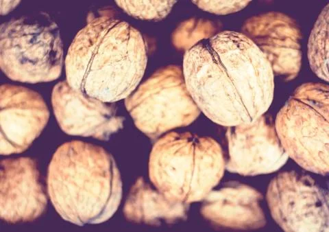 Natural walnut in shell background pattern texture. Stock Photos