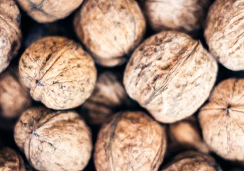 Natural walnut in shell background pattern texture. Stock Photos