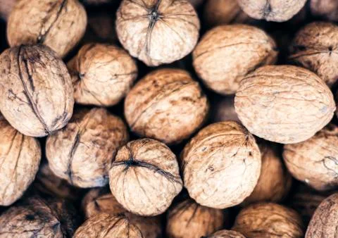 Natural walnut in shell background pattern texture. Stock Photos