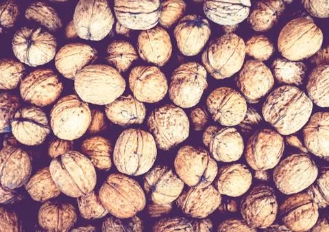 Natural walnut in shell background pattern texture. 写真素材