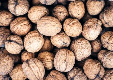 Natural walnut in shell background pattern texture. 写真素材