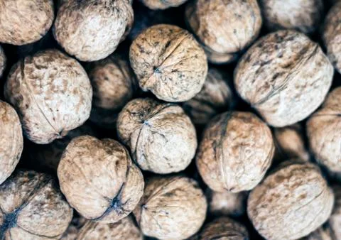 Natural walnut in shell background pattern texture. Stock Photos