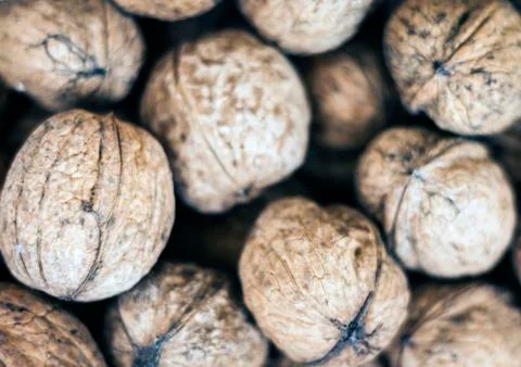 Natural walnut in shell background pattern texture. Stock Photos