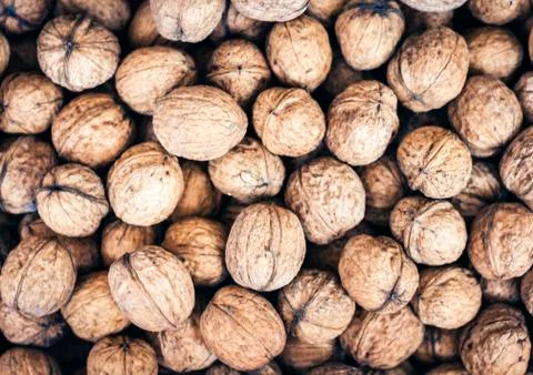 Natural walnut in shell background pattern texture. Stock Photos
