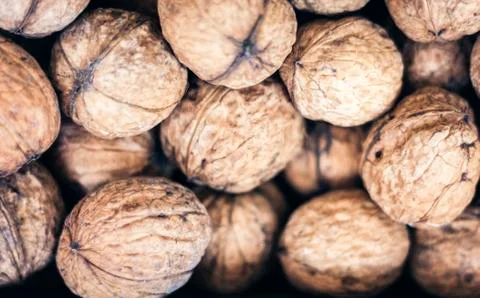 Natural walnut in shell background pattern texture. Stock Photos