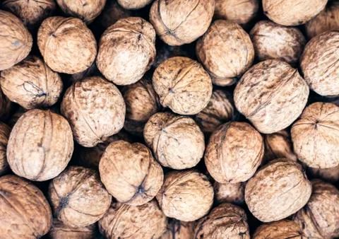 Natural walnut in shell background pattern texture. 写真素材