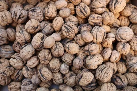 Natural walnut in shell background pattern texture Foto stock