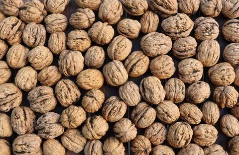 Natural walnut in shell background pattern texture Stock Photos