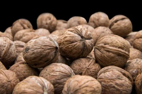 Natural walnut in shell. Stock Photos