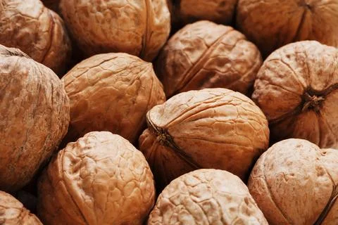 Natural Walnuts in shell background dramatic contrast Stock Photos