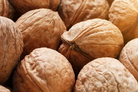 Natural Walnuts in shell background dramatic contrast Stock Photos