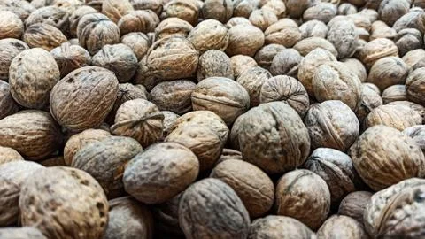 Natural Walnuts with shell background pattern texture Background of fresh walnut Stock Photos