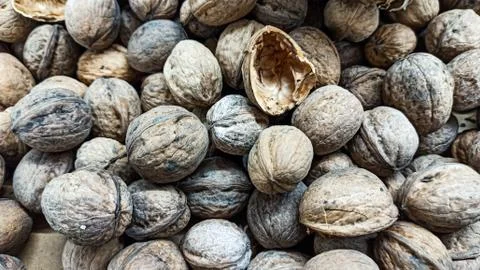 Natural Walnuts with shell background pattern texture Background of fresh walnut 写真素材