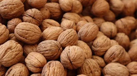 Natural Walnuts with shell background pattern texture.Background of fresh walnut 写真素材