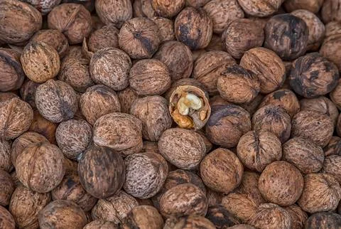 Natural walnuts texture Stock Photos