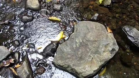 Natural water 13 Stock Footage 211580893