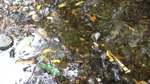 Natural water 14 Stock Footage 211580913