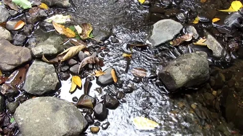 Natural water 16 Stock Footage 211581845
