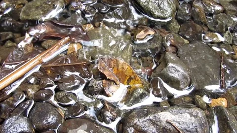 Natural water 17 Stock Footage 211581852