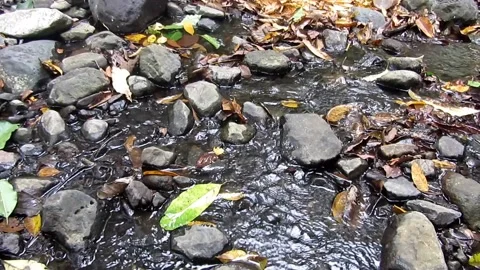 Natural water 18 Stock Footage 211581859