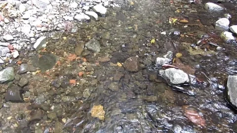 Natural water 2 Stock Footage 211577297