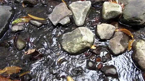 Natural water 20 Stock Footage 211582620