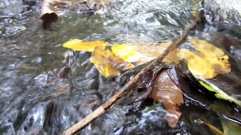 Natural water 22 Stock Footage 211582669