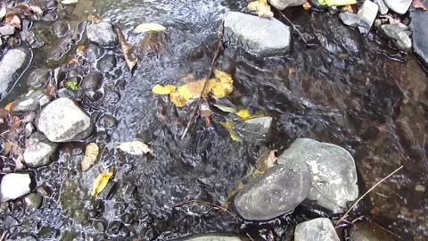 Natural water 24 Stock Footage 211582756
