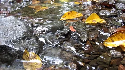 Natural water 25 Stock Footage 211583798