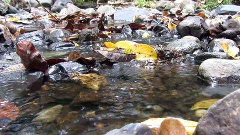 Natural water 27 Stock Footage 211583942