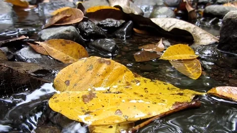 Natural water 28 Stock Footage 211584036