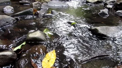 Natural water 31 Stock Footage 211587260