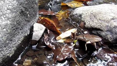 Natural water 34 Video stock 211600030
