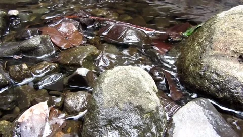 Natural water 4 Stock Footage 211577427