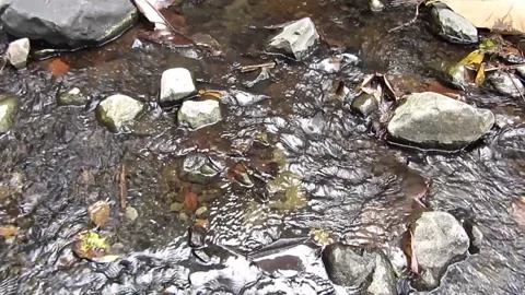 Natural water 5 Stock Footage 211579157