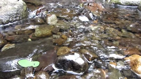 Natural water 6 库存影片 211579566