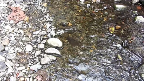 Natural water 8 Stock Footage 211579708