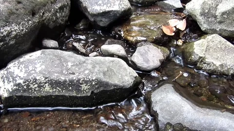 Natural water flow 2 Stock Footage 211576959