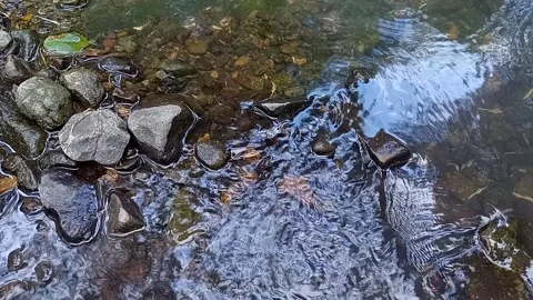 Natural water flow flowing in the river Stock Footage 239209551