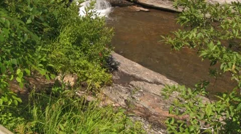 Natural Water Flow Over Rocks with Greenery in Foreground Stock Footage 12760832