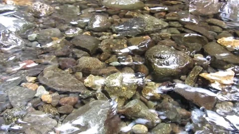 Natural water Stock Footage 211577290