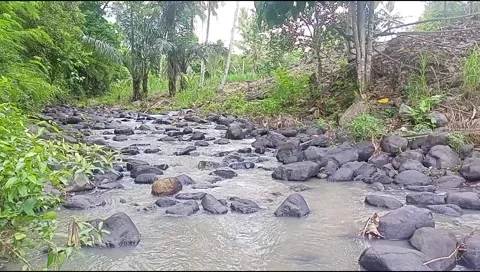 Natural water Video stock 220606658
