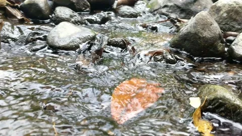 Natural water from the mountains 50 Stock Footage 212901253